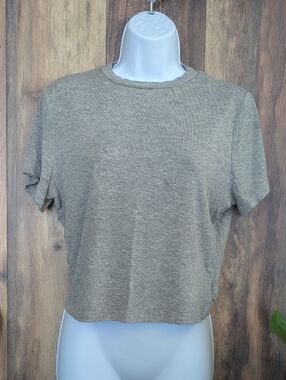Everyday Crewneck Gray Crop Tee XL                        F250